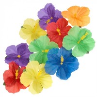   SET 24 FLORES HIBISCUS