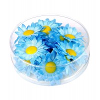 CAJA 20 FLORES MARGARITAS AZULES