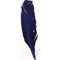   4 PLUMAS INDIO AZUL 30CM