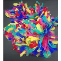    PELUCA PLUMAS MULTICOLOR