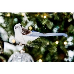 2 PAJAROS TRABA COL.SURT 8X11X5CM