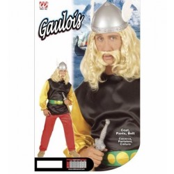 DISFRAZ T-L GALO COMIC