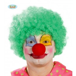    PELUCA PAYASO VERDE