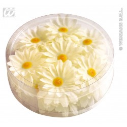 CAJA PVC 20/U MARGARITAS BLANCA
