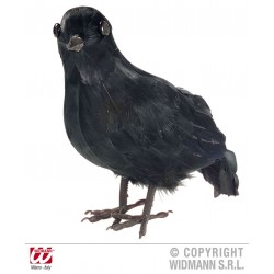   CUERVO NEGRO 27CM