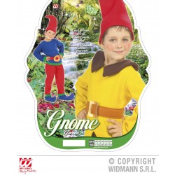 $DDISFRAZ GNOMO 3A4/4A5 AÑOS 3COL.SURT