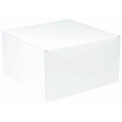 CAJA BLANCA DESMONTADA 22,8X22,8X12,7CM