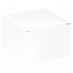 CAJA BLANCA DESMONTADA 15,2X15,2X10,16CM