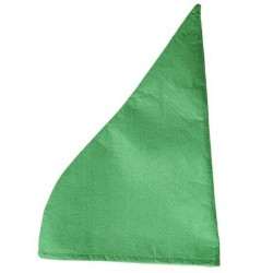   SOMBRERO ENANO VERDE
