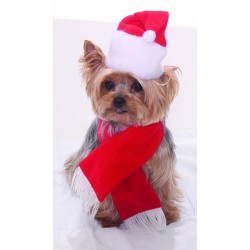 SET MASCOTA SOMBRERO BUFANDA PAPA NOEL
