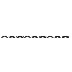 GUIRNALDA BIGOTE NEGRO 4,11X15,24CM
