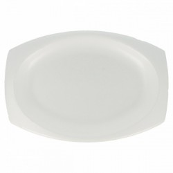$D   125/U BANDEJA FOAM 23X18CM BLANC