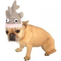 SOMBRERO T-ML FORMA TIBURON MASCOTA