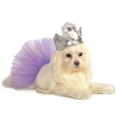 TIARA MASCOTA T-SM PLATA PIEDRAS LILA