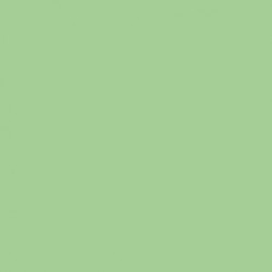   50 SERVILLETAS TISSUE VERDE A 40CM