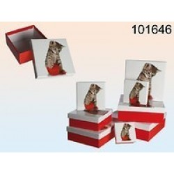 CAJA CUADR. ROJA GATITO 14,5X14,5X6CM
