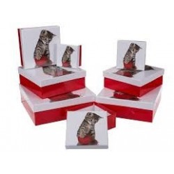 CAJA CUADR. ROJA GATITO 10,5X10,5X5CM