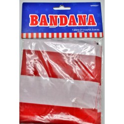 BANDANA BANDERA U.S.A. 53.3CMS