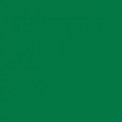   50 SERVILLETAS TISSUE VERDE P 40CM