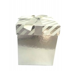$D CAJA PLATA LAZO CASCABEL 9,5X9,5X11CM