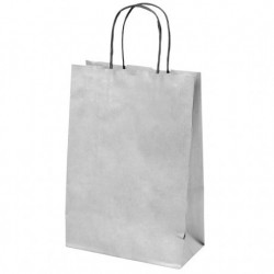  BOLSA C/ASAS KRAF PLATA 26 14X32 CM
