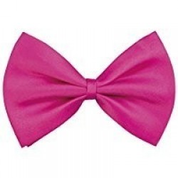   PAJARITA BASICA ROSA FUCSIA