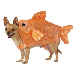  DISFRAZ T-S PEZ DORADO MASCOTA