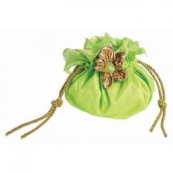 L BOLSO VERDE HADA MISS PIXIE