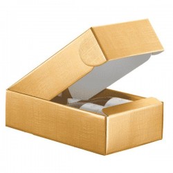   CAJA 2 BOTELLAS ORO 34X18,5X9CM55
