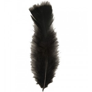 50 PLUMAS NEGRA APROX. 10CM