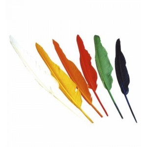 12 PLUMAS DE INDIO COL.SURT.