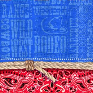 PAQ.16/U SERV.25 2/C VAQUERO RODEO