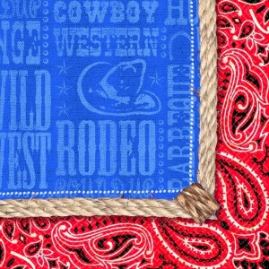 PAQ.16/U SERV.33 2/C VAQUERO RODEO